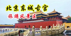 操操,操御姐bb操操中国北京-东城古宫旅游风景区